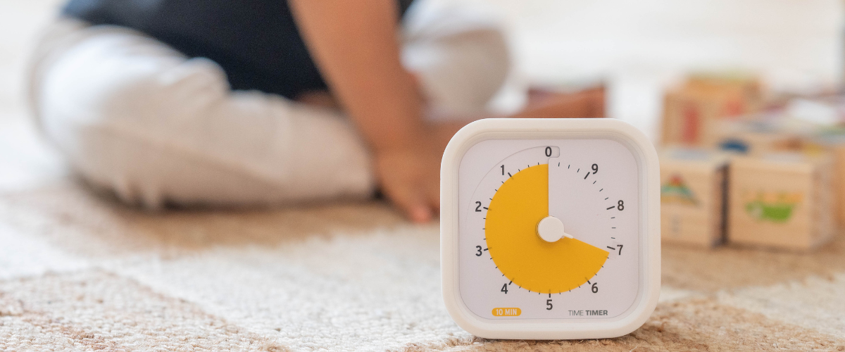 Tidy Timer The 10-Minute Daily Clean: A Visual Timer Strategy for a Tidy, Stress ...