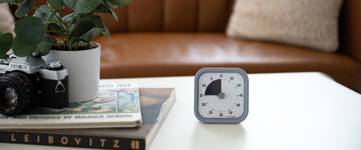 20-Minute Daily House Cleanup with Time Timer