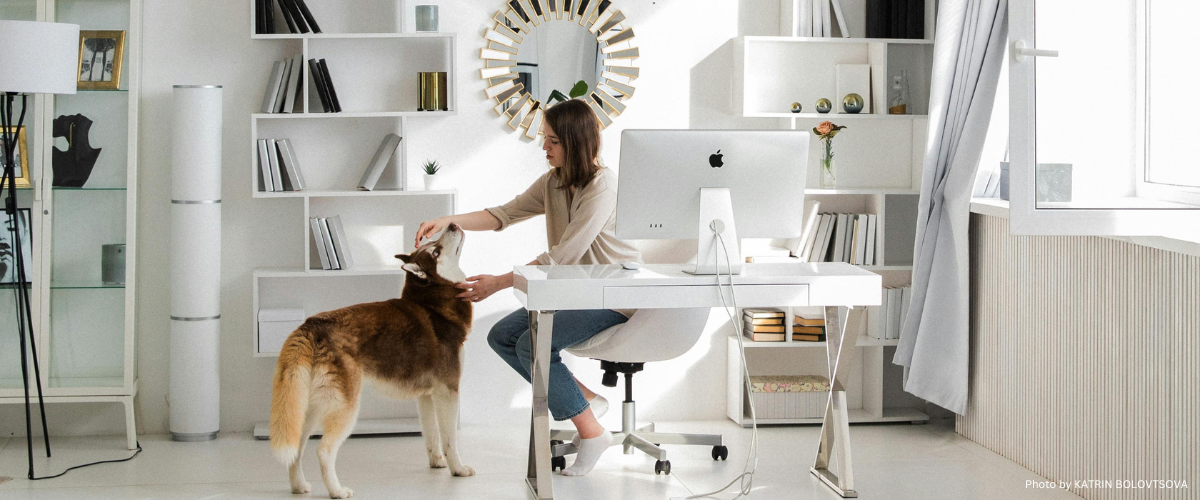Five Tips for Peace and Productivity while Working From Home