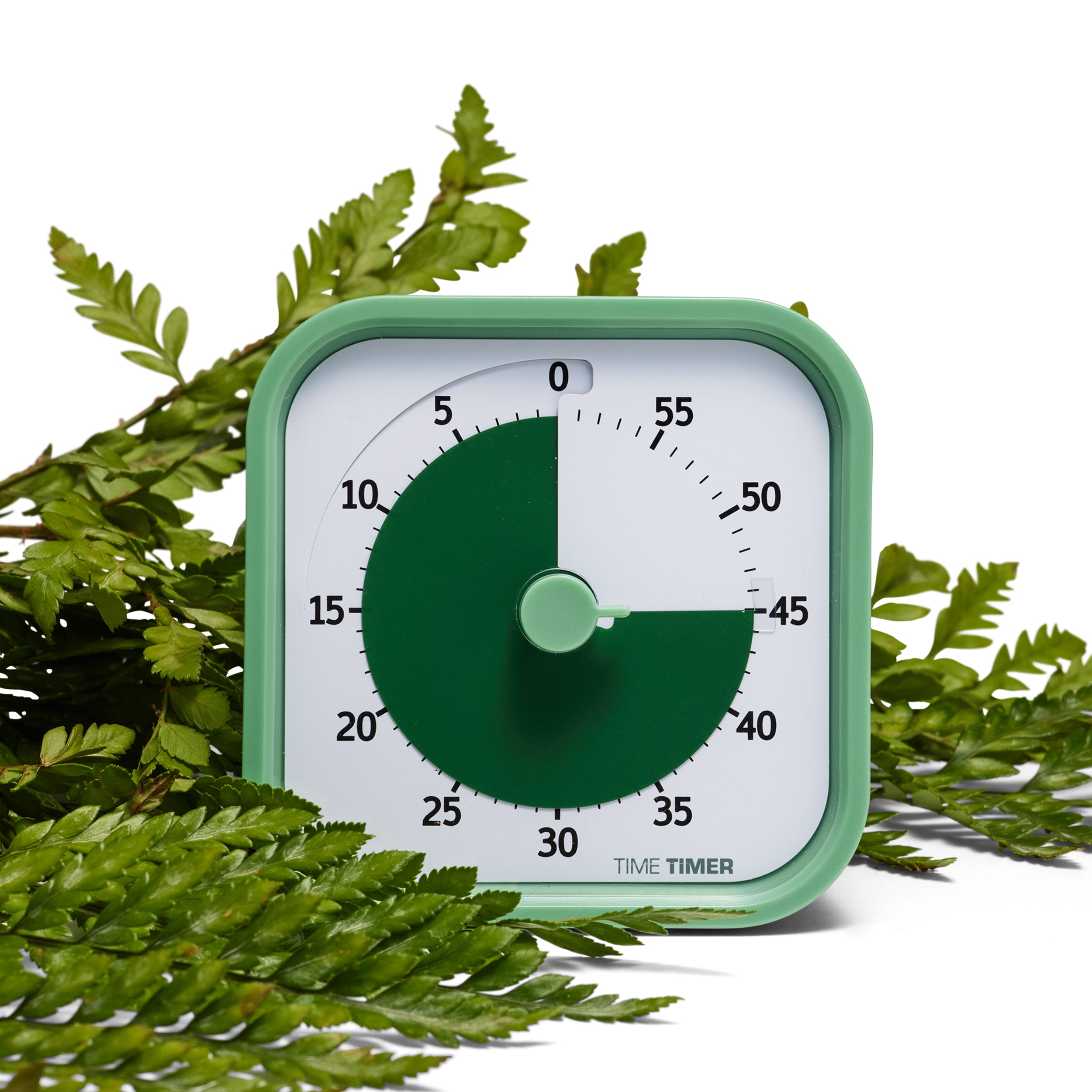 60 minute visual Timer  - Time Timer MOD® - Home Edition Fern Green
